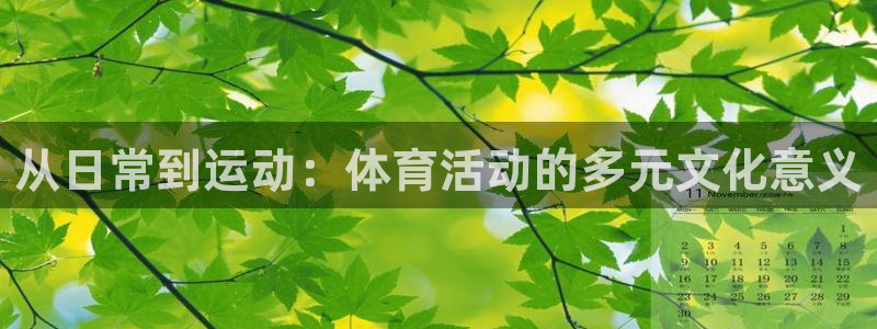 3377体育官网下载平台是正规平台吗安全吗：从日常到运动：体