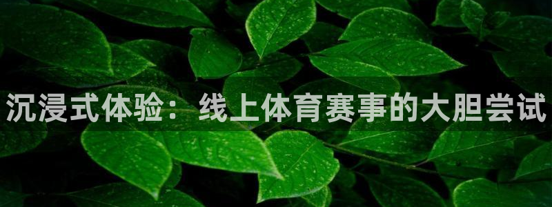 3377体育官方正版app娱乐：沉浸式体验：线上体育