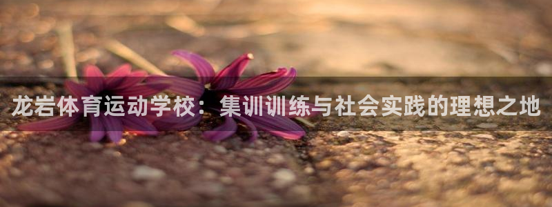 3377体育官网下载招商电话是多少号码：龙岩体育运动