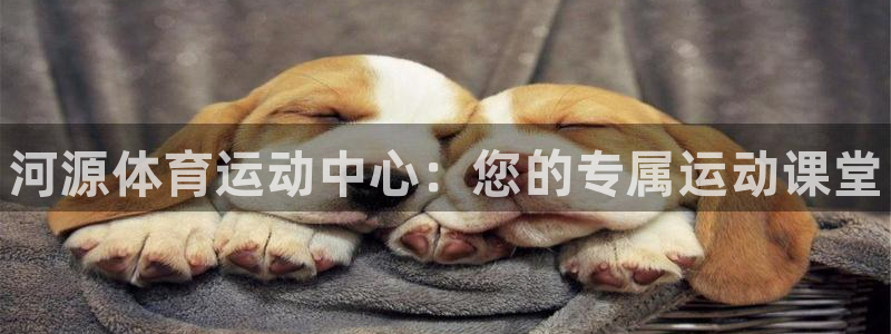 3377体育官网下载平台注册要钱吗是真的吗：河源体育
