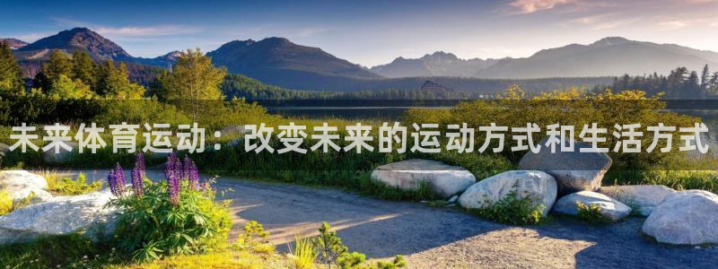 3377体育官方正版app科技：未来体育运动：改变未来的运动