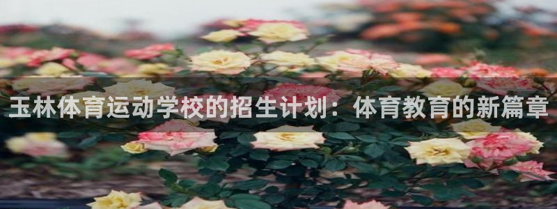 3377体育官方正版app新能源