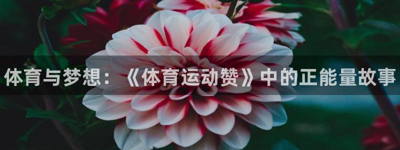 3377体育官方正版app集团官网首页网址：体育与梦