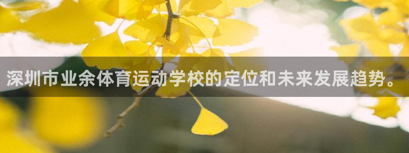 3377体育官网下载娱乐：深圳市业余体育运动学校的定位和未来