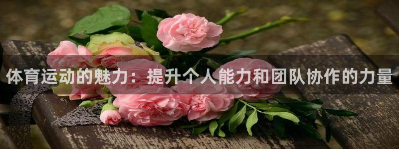 3377体育官网下载平台是正规平台吗安全吗：体育运动