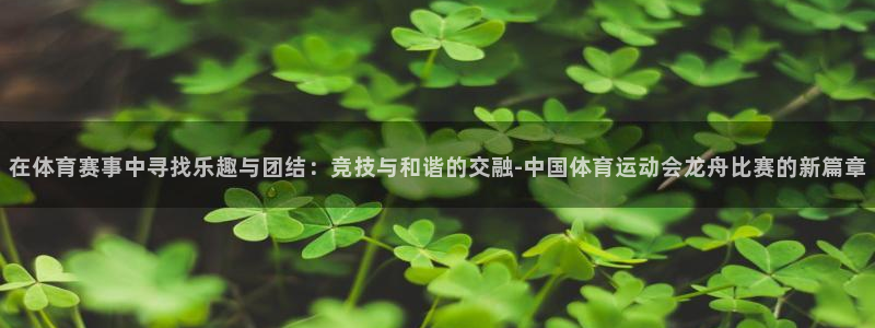 3377体育官方正版app神州：在体育赛事中寻找乐趣与团结：