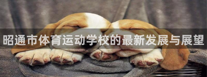 3377体育官网下载平台注册要钱吗是真的吗：昭通市体育运动学