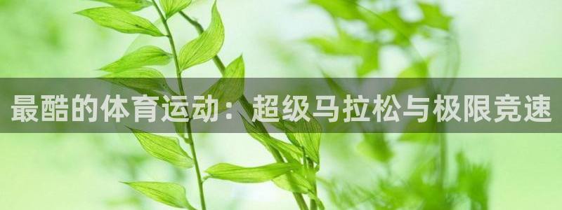 3377体育官网下载平台假的吗是真的吗