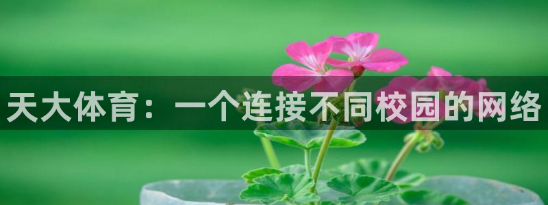 3377体育官网下载平台注册流程图：天大体育：一个连接不同校