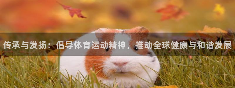 3377体育官方正版app集团官网网址：传承与发扬：倡导体育