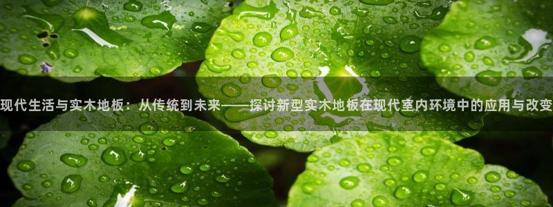 3377体育官方正版app集团简介：现代生活与实木地