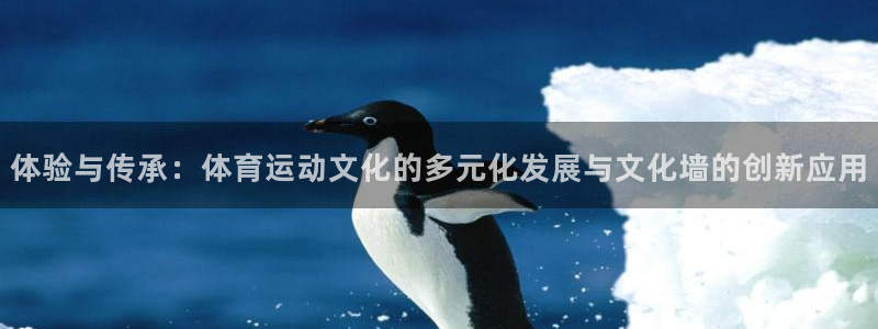 3377体育官方正版app科技：体验与传承：体育运动