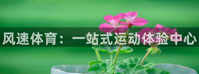 3377体育官网下载平台假的吗是真的吗吗：风速体育：一站式运