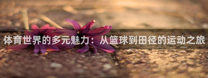 3377体育官方正版app集团官网首页网址：体育世界