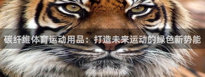 德国3377体育官方正版app集团：碳纤维体育运动用品：打造