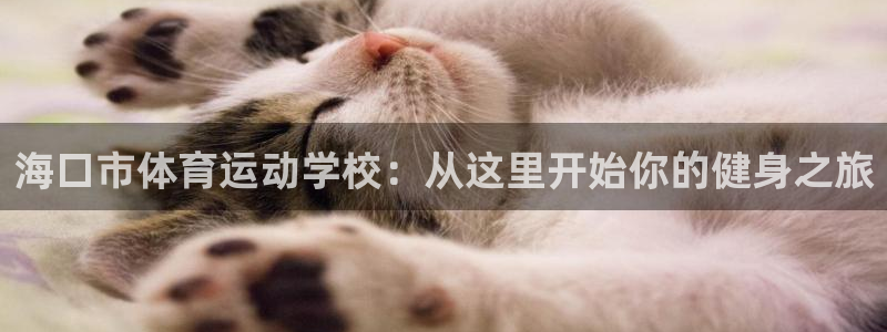 3377体育官网下载招商电话是多少号码：海口市体育运动学校：