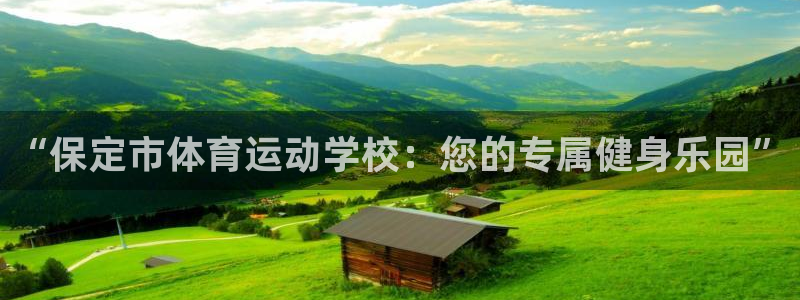 3377体育官方正版app娱乐