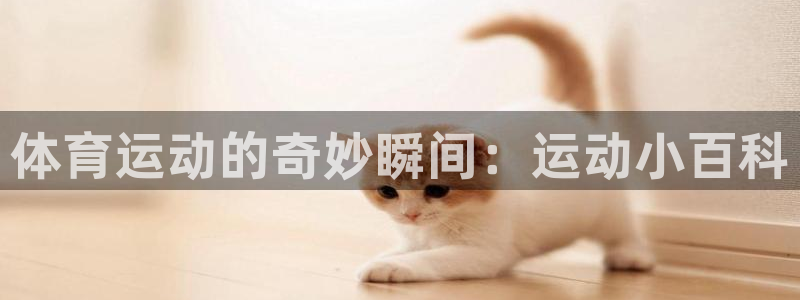 海南3377体育官网下载发展怎么样