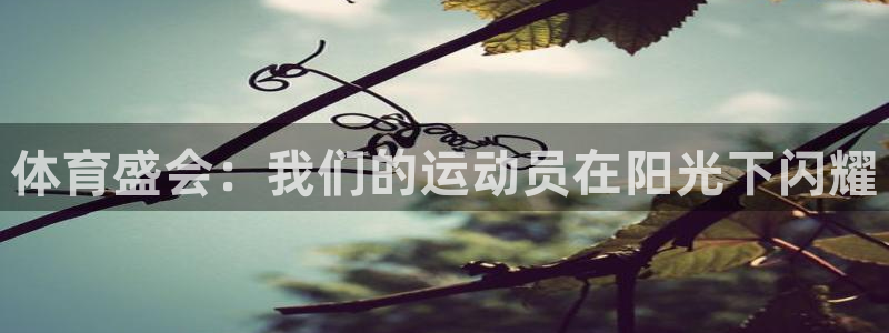 3377体育官网下载平台注册：体育盛会：我们的运动员在阳光下