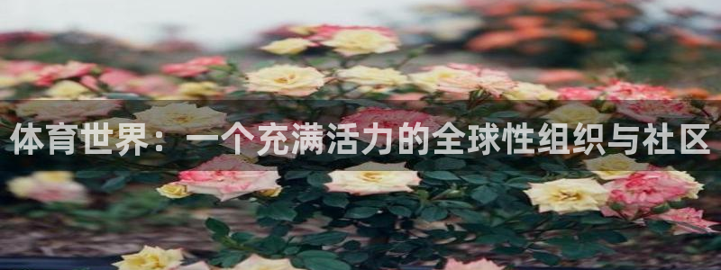 3377体育官方正版app娱乐平台