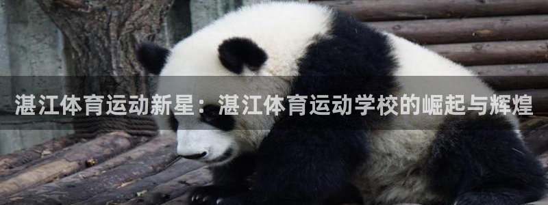 3377体育官网下载平台是正规平台吗安全吗