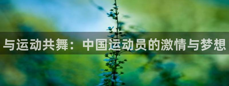 3377体育官网下载平台假的吗是真的吗：与运动共舞：中国运动