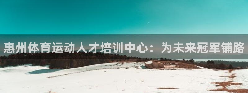 3377体育官网下载是干嘛的公司：惠州体育运动人才培训中心：