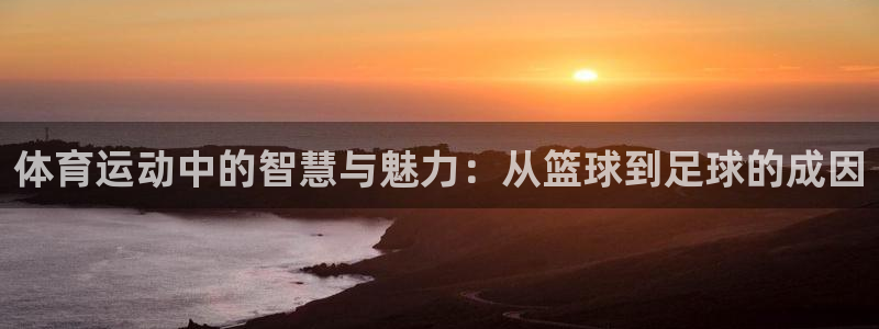 3377体育官方正版app集团官网网址：体育运动中的智慧与魅