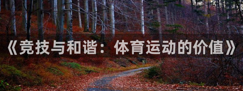 3377体育官方集团官网：《竞技与和谐：体育运动的价值》